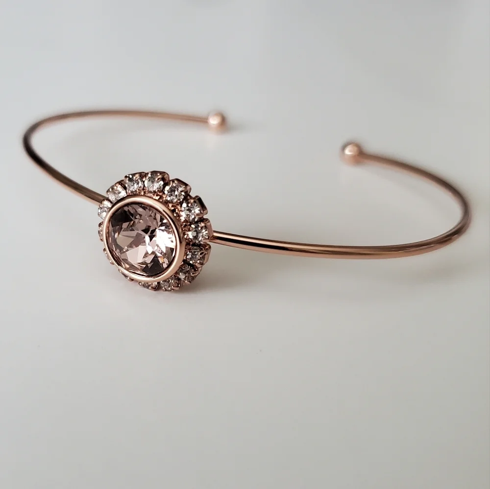 Ted Baker London Pale Pink Swarovski Crystal Sappelle Daisy Lace Ultr…